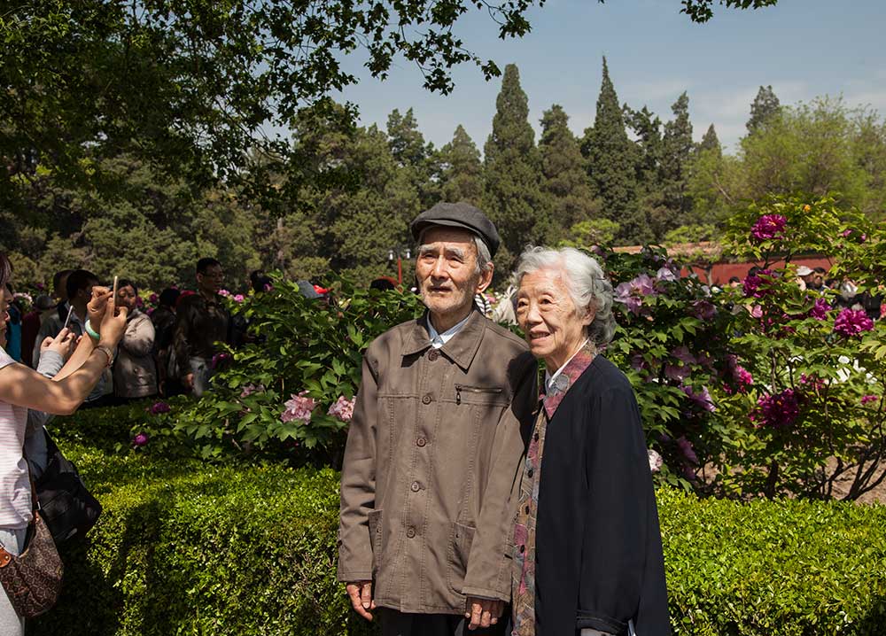 图片说说:牡丹花开时,一对老夫妻在花前合影.