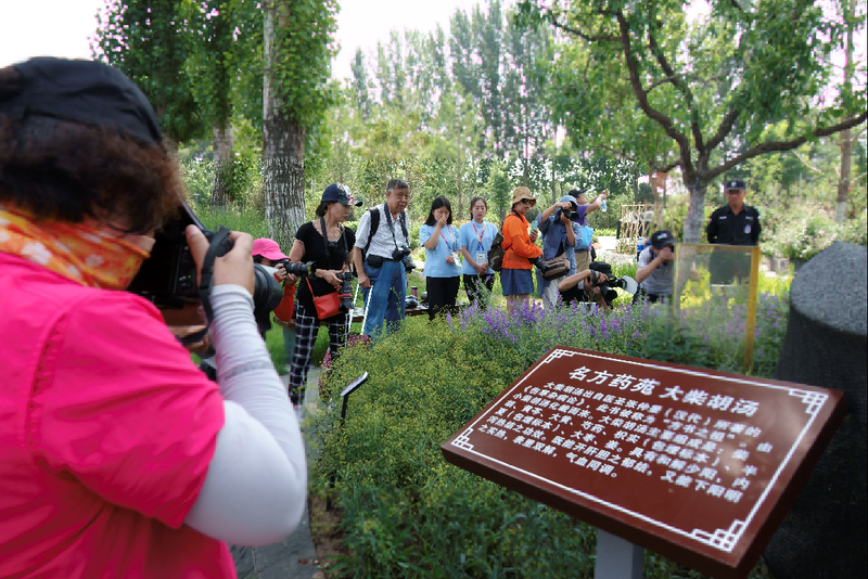 用镜头传播中医药文化——走进世界园艺博览会之"百草园"