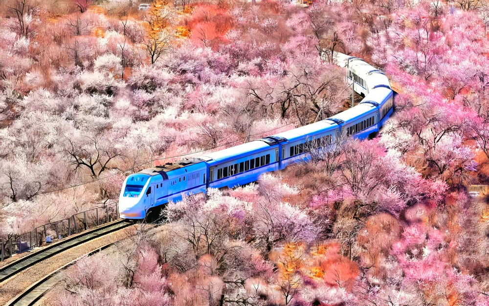 第四届“绿美京华”暨花园北京生态景观主题摄影展